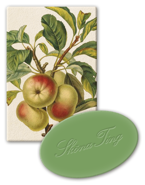 Vegansk Gjestesåpe 24 pakk  Eple