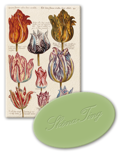 Vegansk Gjestesåpe 24 pakk Tulipan