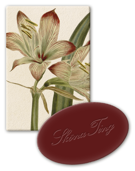 Vegansk Gjestesåpe 24 pakk  Juleeple