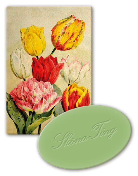 Vegansk Gjestesåpe 24 pakk