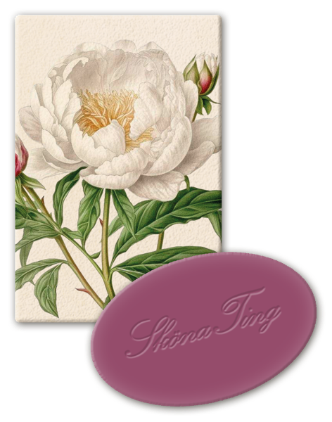 Vegansk Gjestesåpe 24 pakk