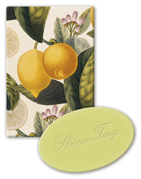 Vegansk Gjestesåpe 24 pakk  Sitron