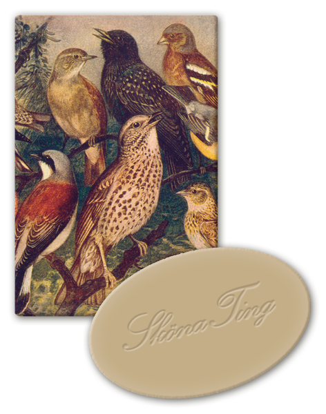 Vegansk Gjestesåpe 24 pakk