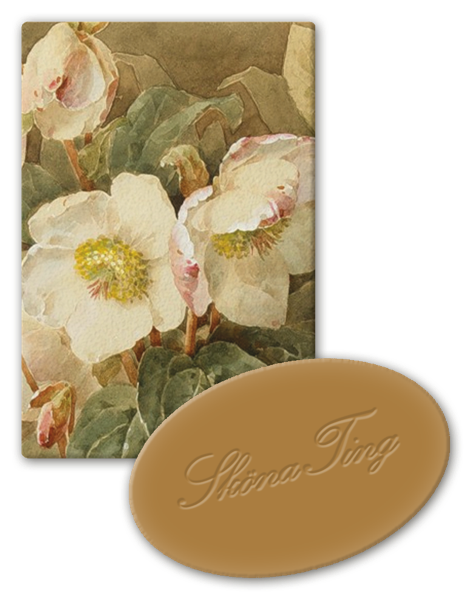 Vegansk Gjestesåpe 24 pakk  Appelsin