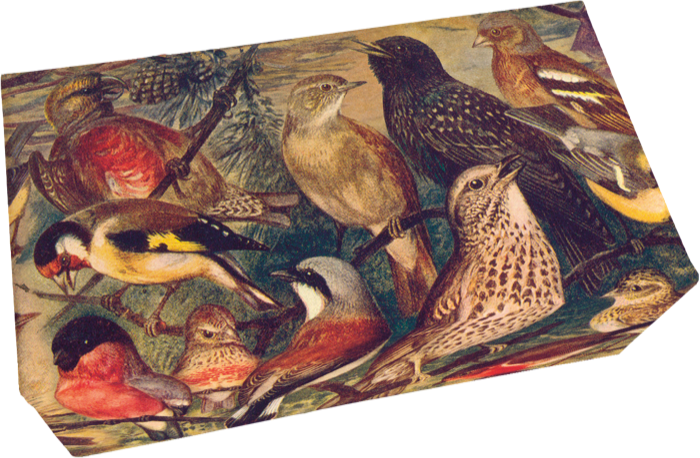 Såpestykke 6-pakk Vanilje