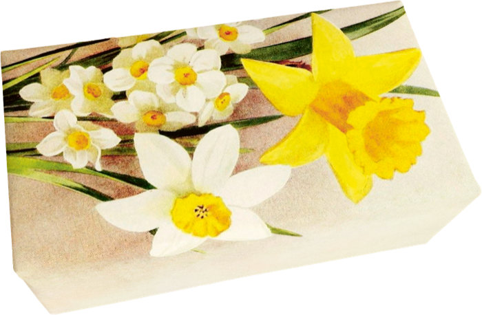 Såpestykke 6-pakk Sitron