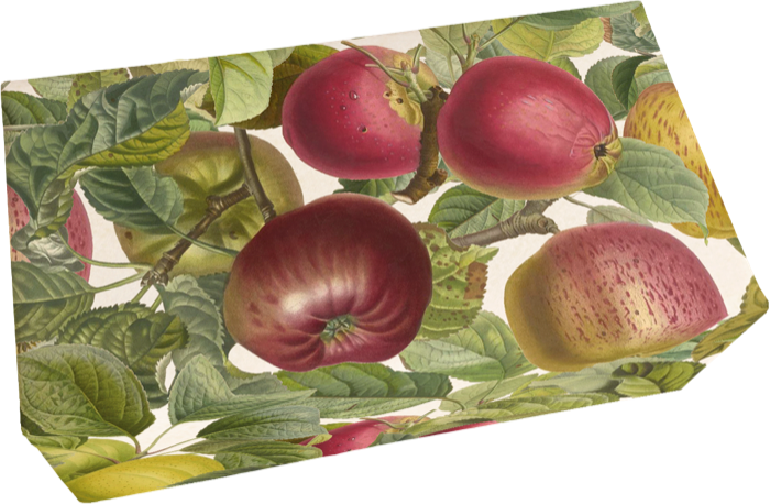 Såpestykke 6-pakk Eple