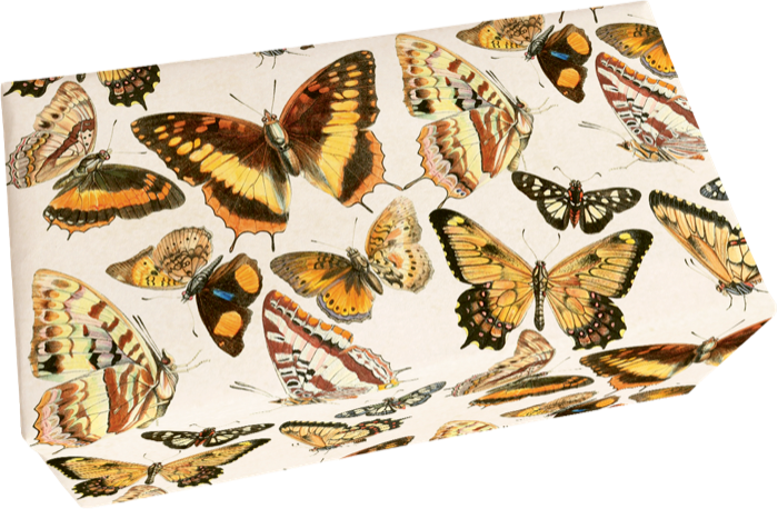 Såpestykke 6-pakk Sitron