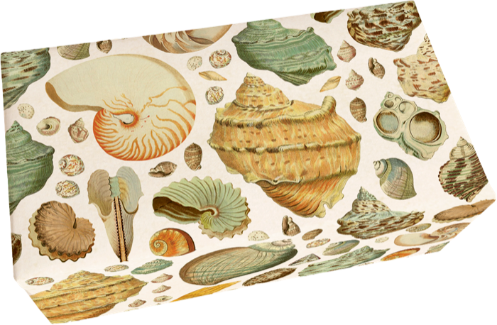 Såpestykke 6-pakk Fersken