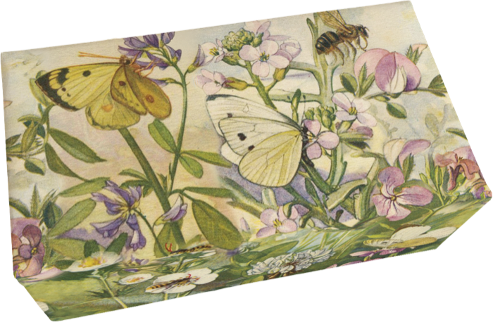 Såpestykke Fiol 6-pakk