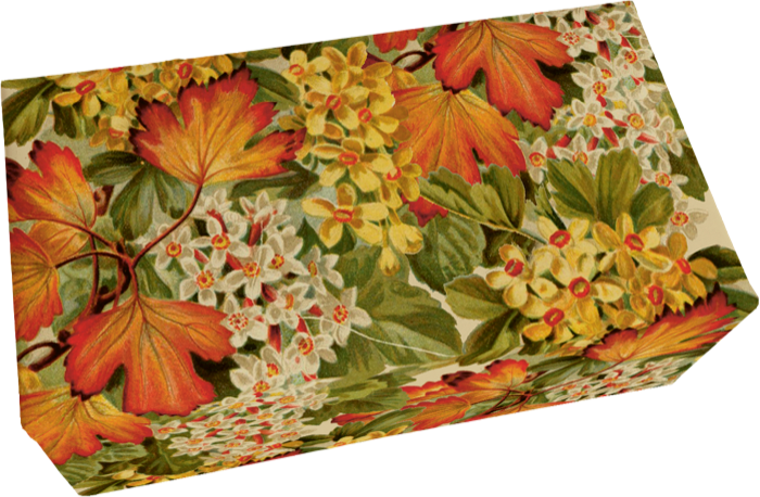 Såpestykke 6-pakk Apelsin