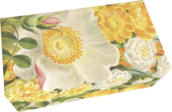 Såpestykke Rose 6-pakk