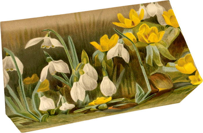 Såpestykke 6-pakk Sitron