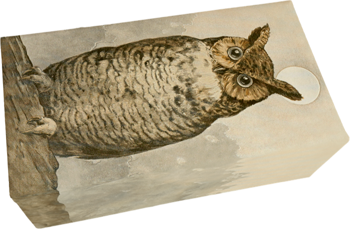 Såpestykke 6-pakk Skog