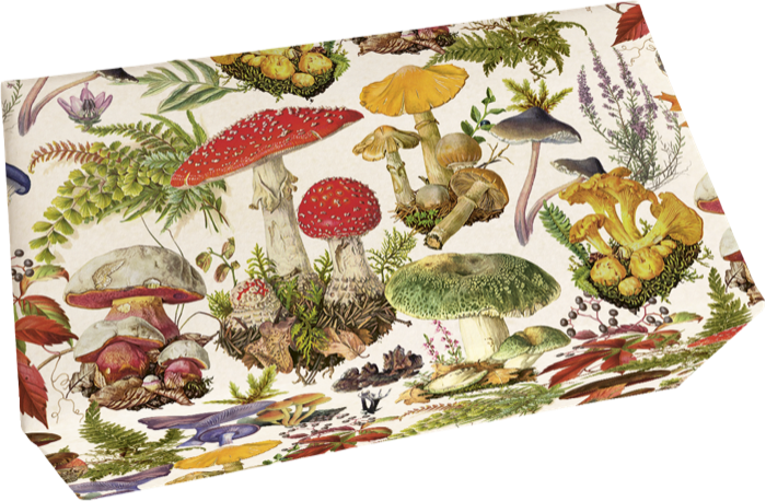 Såpestykke Eple 6-pakk