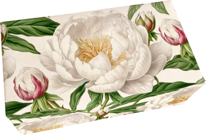 Såpestykke 6-pakk Pioner