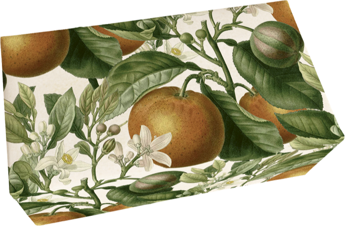Såpestykke Appelsin 6-pakk