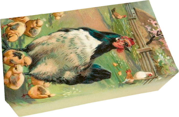 Såpestykke 6-pakk Fiol