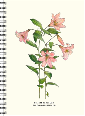 Gullers Trading Skrivebok A5 Linjert