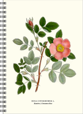 Gullers Trading Skrivebok A5 Linjert