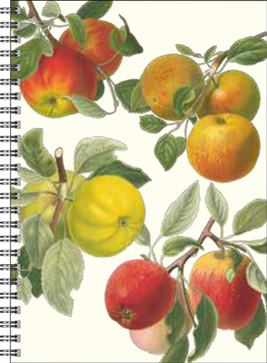 Gullers Trading Skrivebok A5 Linjert