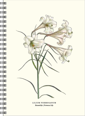 Gullers Trading Skrivebok A5 Linjert