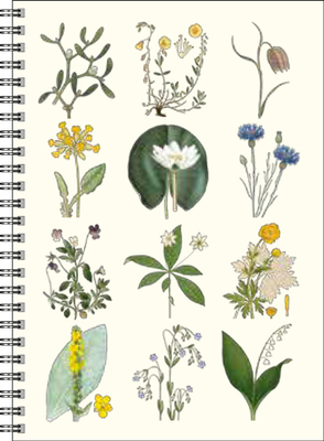 Gullers Trading Skrivebok A5 Linjert