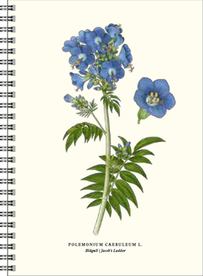 Gullers Trading Skrivebok A5 Linjert