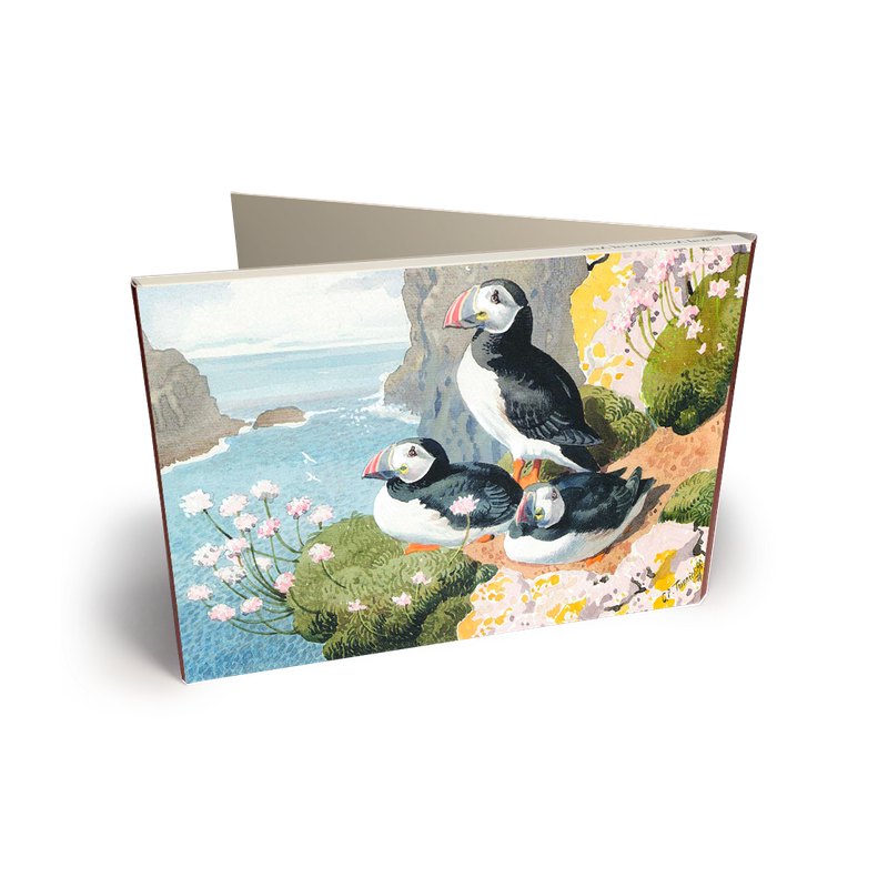 Artpress Kortmappe  12x17cm