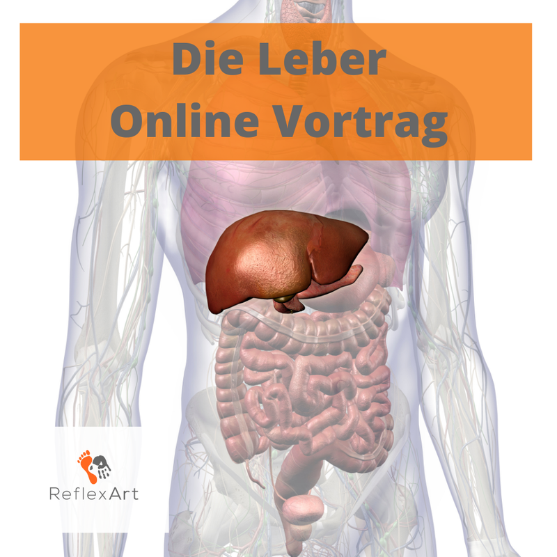 Online Vortrag -Die Leber