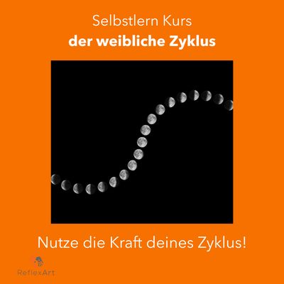 online Kurs: der weibliche Zyklus