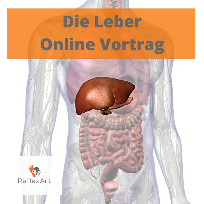Online Vortrag -Die Leber