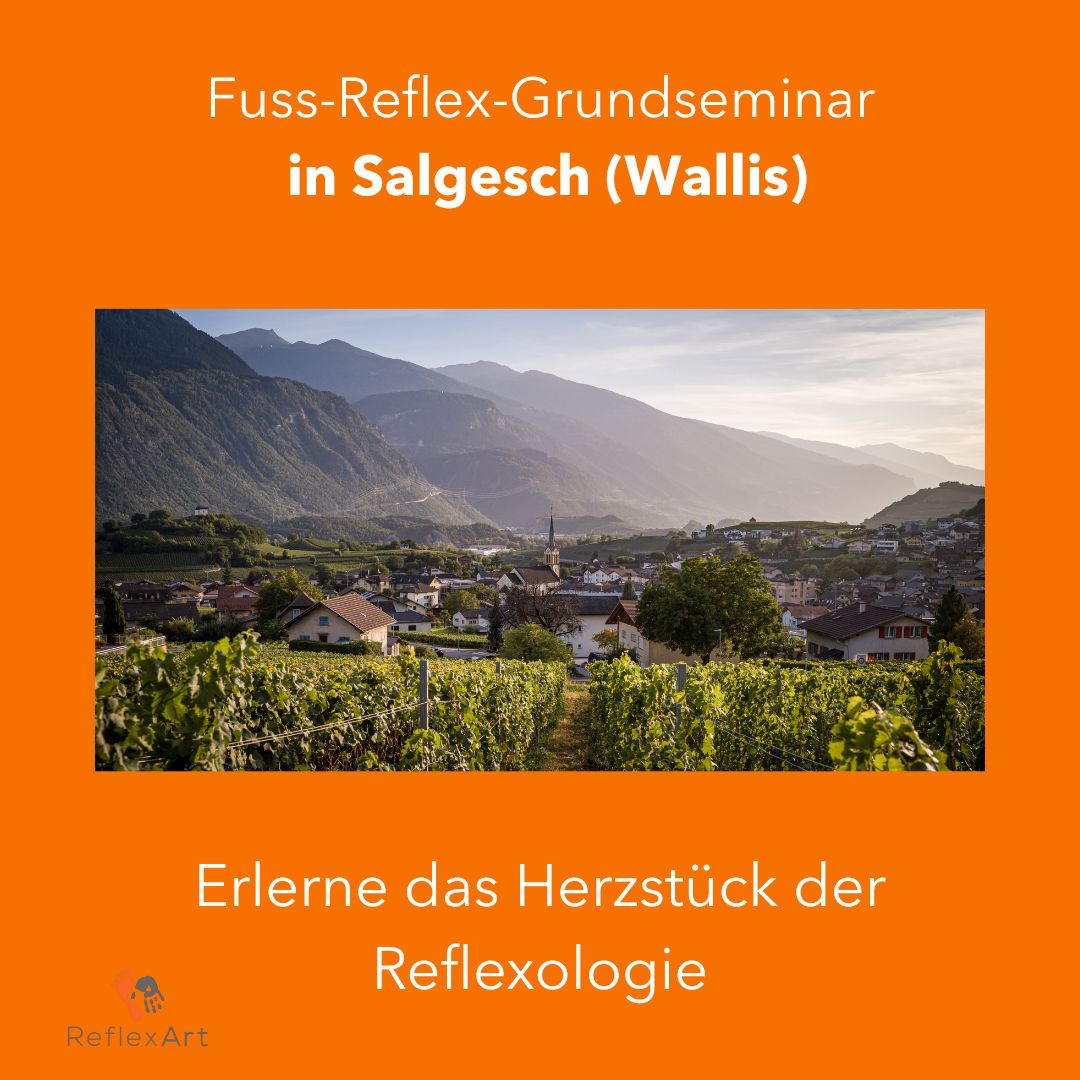 Grundseminar in Salgesch