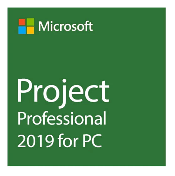 Project Profesional 2019 1 PC ESD (Re-Instalale)