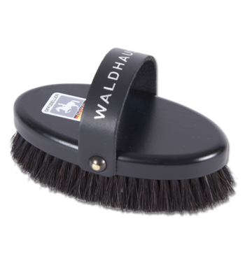 WALD EXKLUSIVE HORSE BRUSH !!