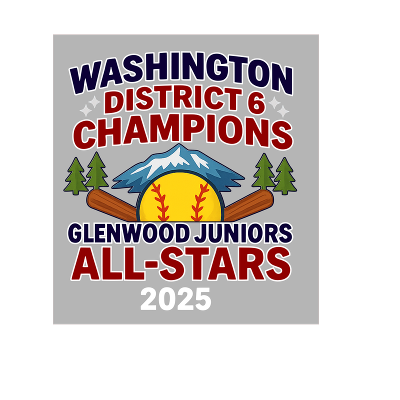 District Champions Juniors Softball 2025 All Star Hoodie