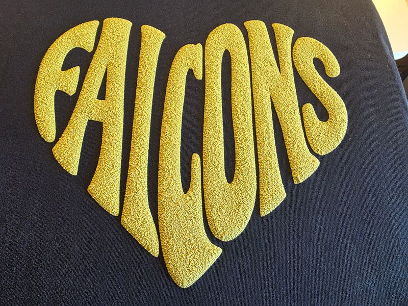 Falcon Heart
