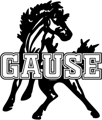 Gause Elementary School
