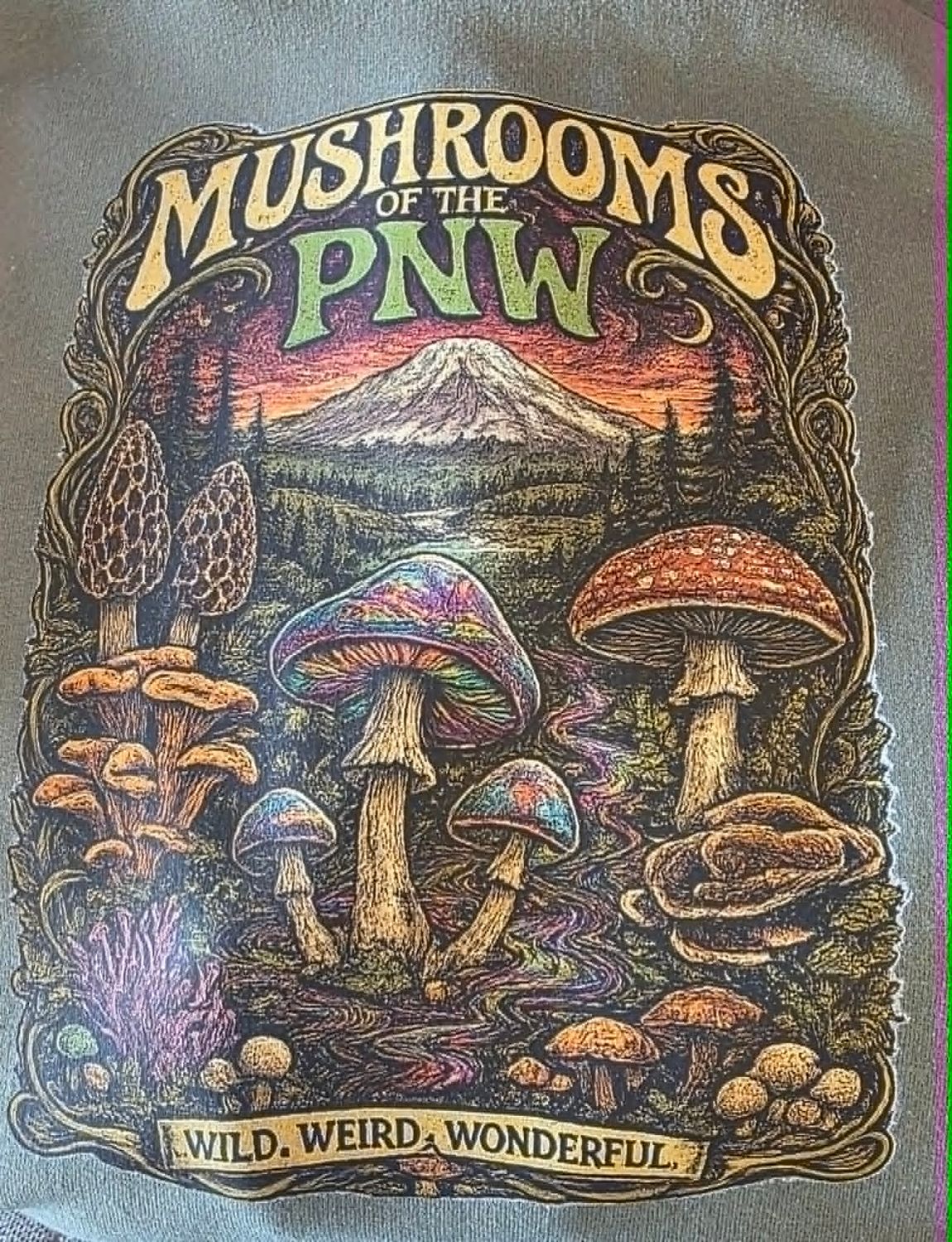 PNW MUSHROOMS