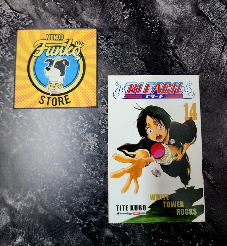Manga Bleach 14