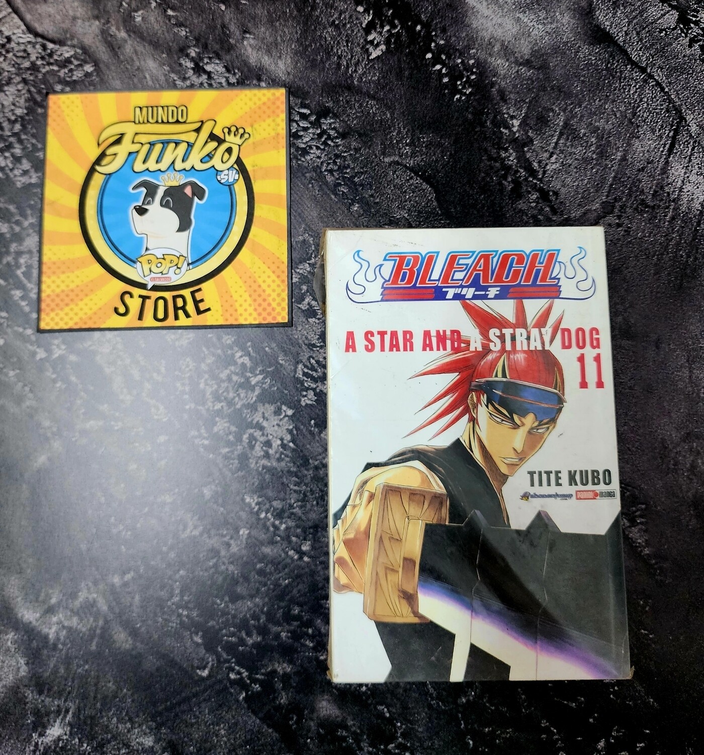 Manga Bleach 11