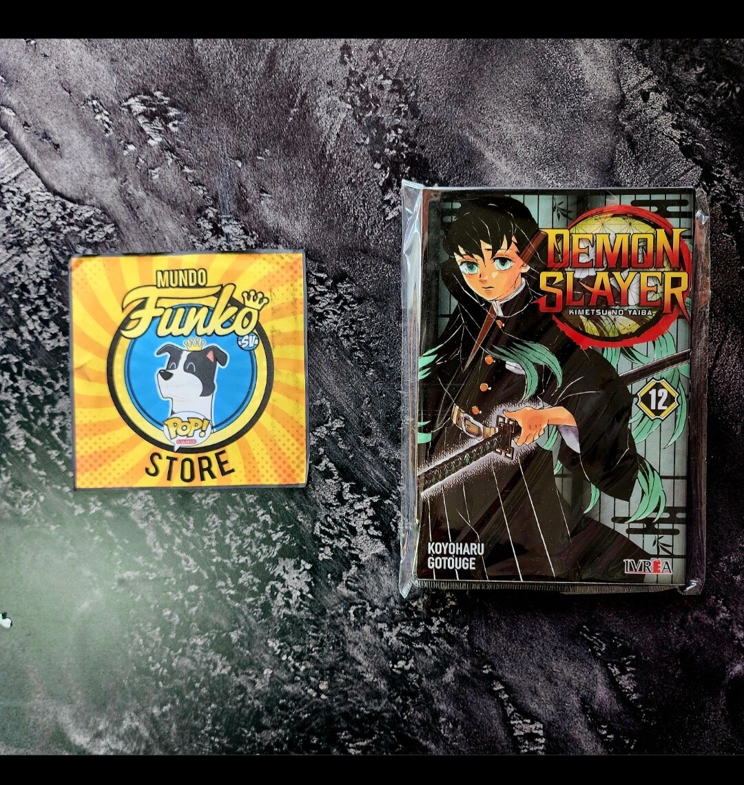 Manga Demon slayer 12
