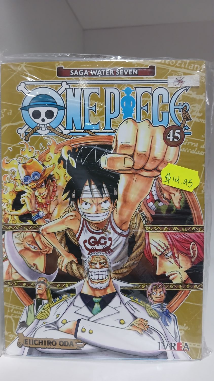 Manga One Piece 45