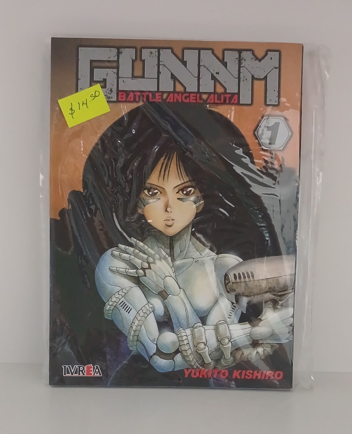 Manga Gunnm 01