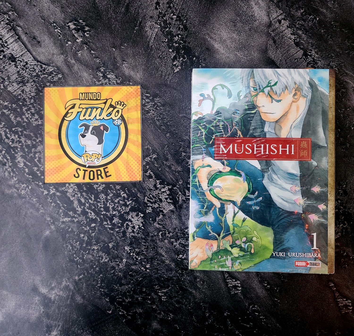 Manga Mushishi 01