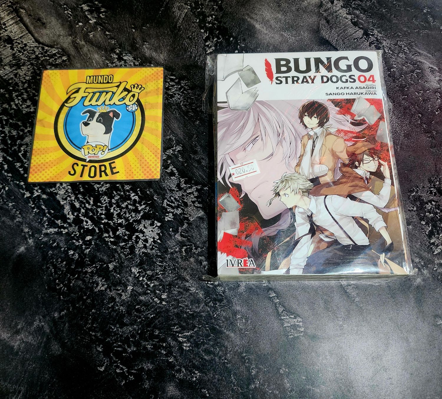 Manga Bungo Stray Dogs 04