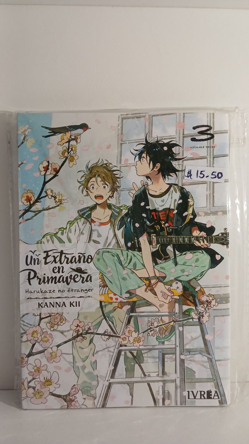Manga Un extraño en primavera 03