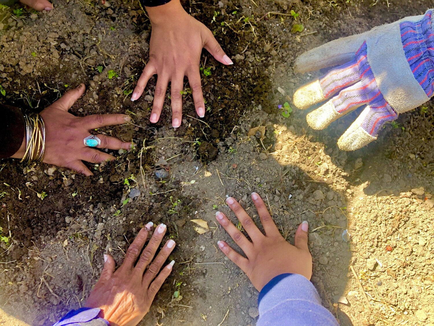 5 Week Herbalism Workshop