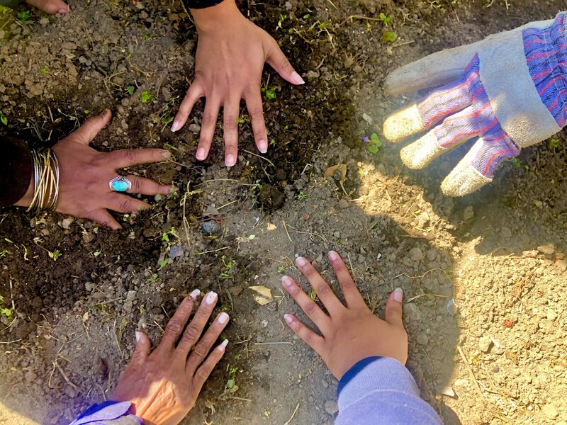 5 Week Herbalism Workshop