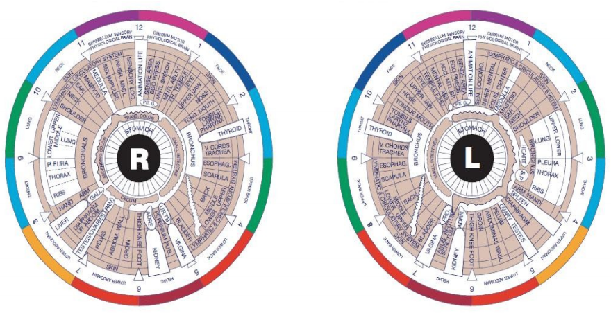 Iridology Course
